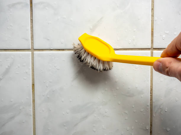 Best Black Mold Remediation in Prairie Du Chien, WI