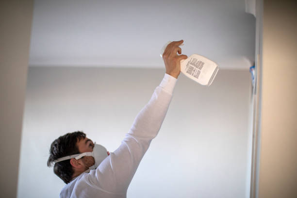 Best Commercial Mold Remediation in Prairie Du Chien, WI