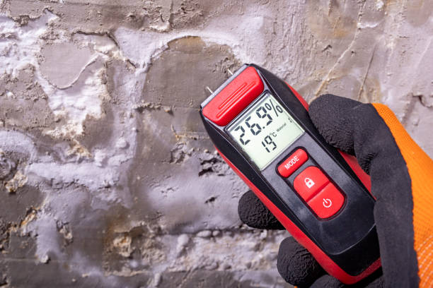 Best DIY Mold Remediation Support Services in Prairie Du Chien, WI