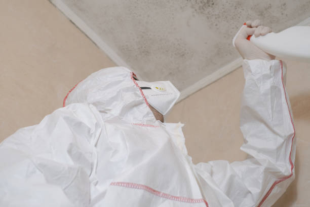 Best Emergency Mold Remediation in Prairie Du Chien, WI